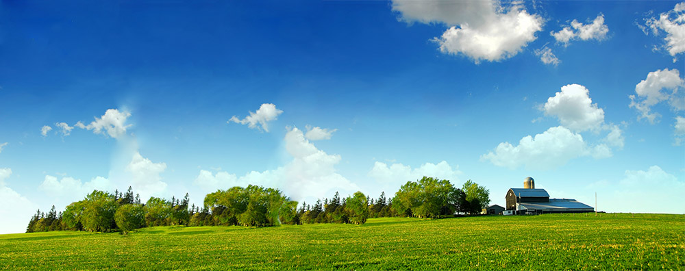 banner3